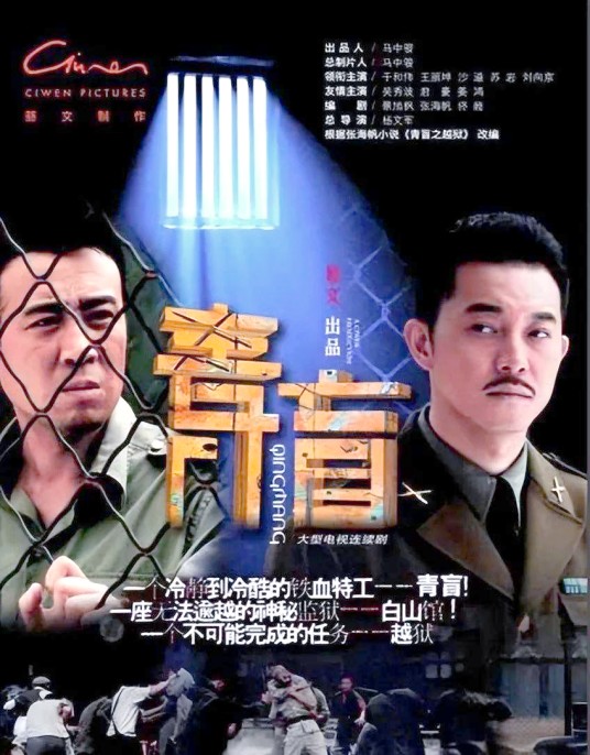 青盲（2012年杨文军执导的悬疑心理谍战剧）