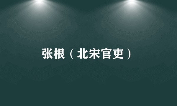张根（北宋官吏）