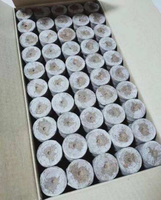 蔬菜育苗营养块