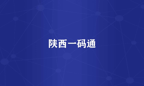 陕西一码通