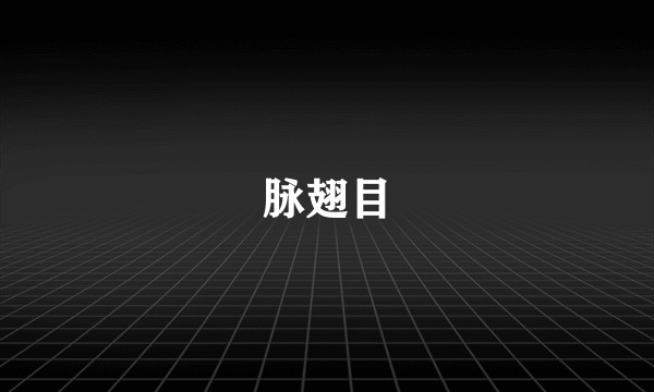 脉翅目