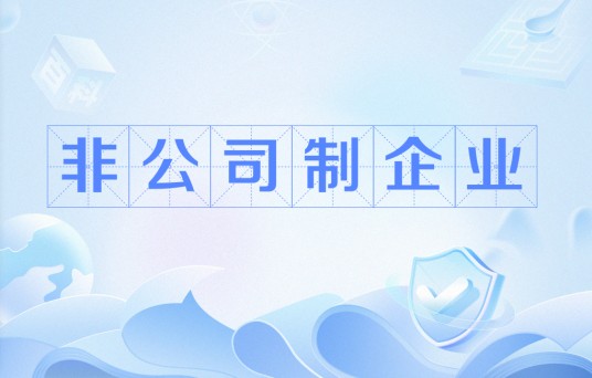 非公司制企业