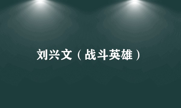 刘兴文（战斗英雄）