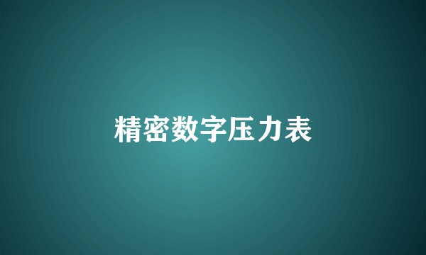 精密数字压力表