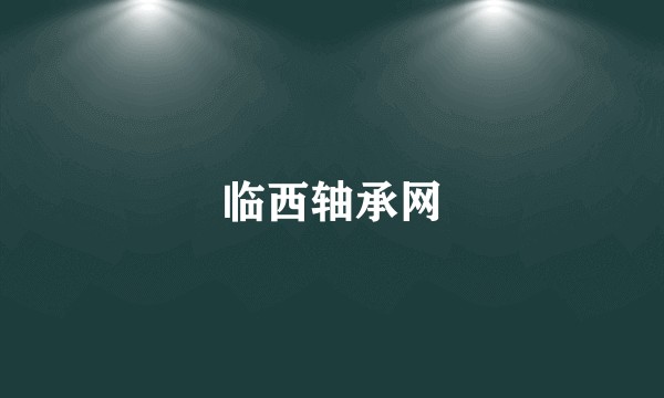 临西轴承网