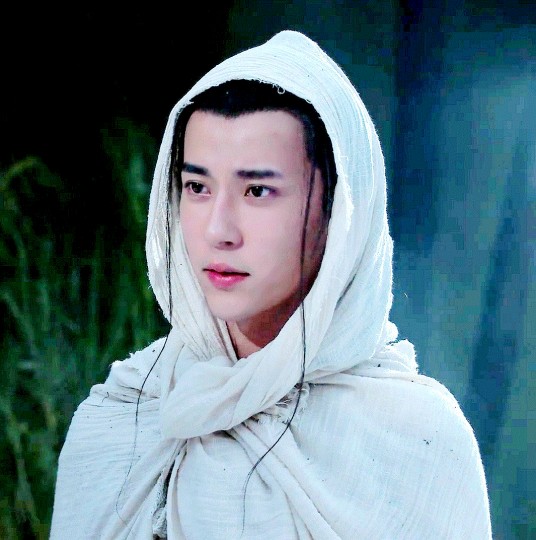 九王（电视剧《太子妃升职记》中的男性角色）