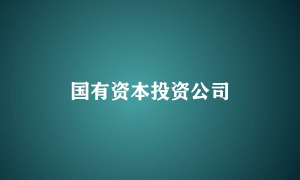 国有资本投资公司