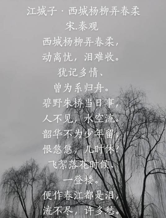江城子·西城杨柳弄春柔