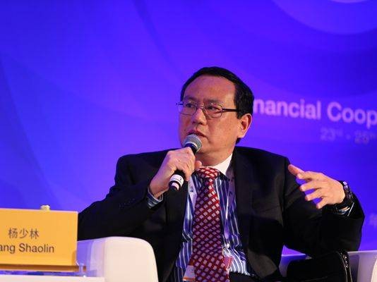 杨少林（中华人民共和国财政部国际财金合作司世界银行贷款项目评估中心主任）