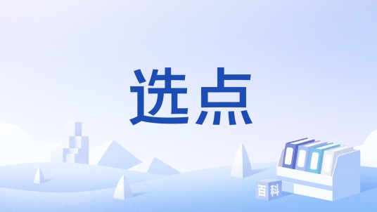 选点