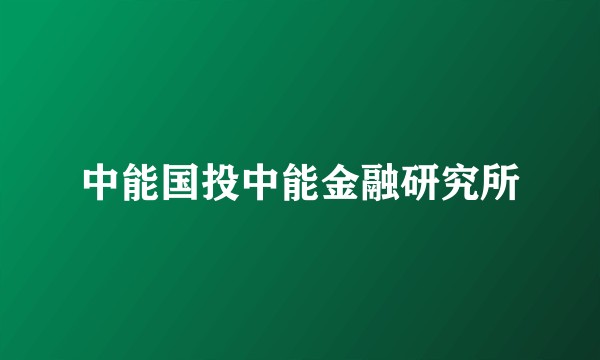 中能国投中能金融研究所