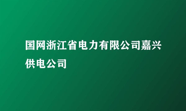 国网浙江省电力有限公司嘉兴供电公司