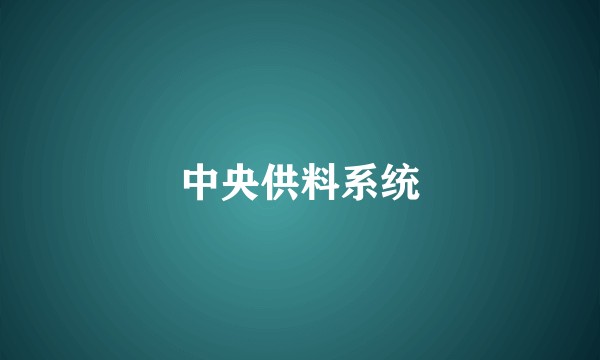 中央供料系统