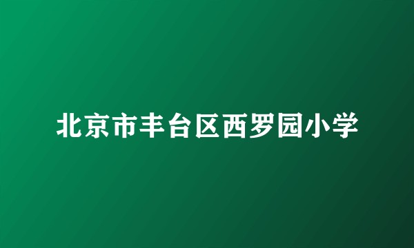 北京市丰台区西罗园小学