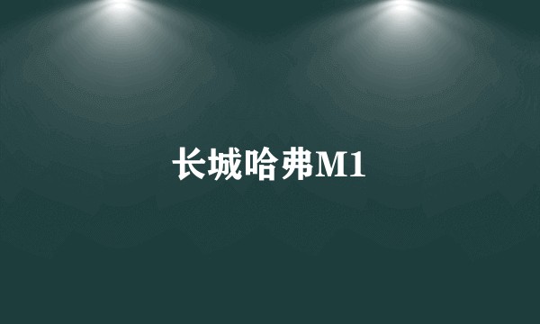 长城哈弗M1