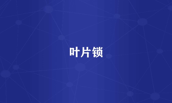 叶片锁