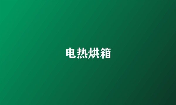 电热烘箱