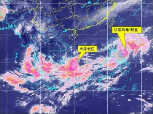 热带低压（热带低气压的简称）