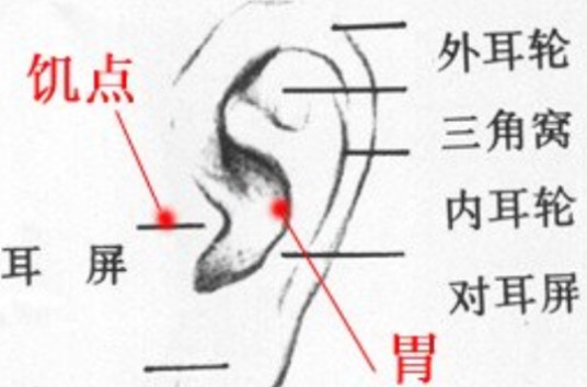 饥点