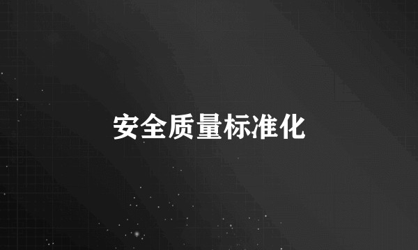 安全质量标准化