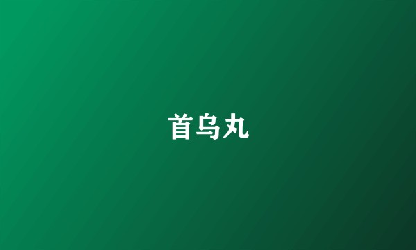 首乌丸