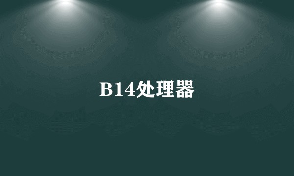 B14处理器