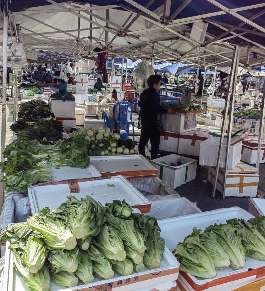农副产品批发市场