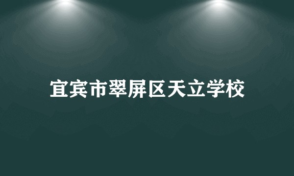 宜宾市翠屏区天立学校