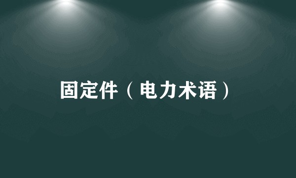 固定件（电力术语）