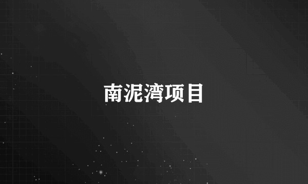 南泥湾项目