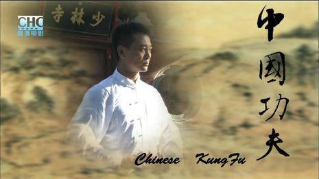 中国功夫(2011年吴樾执导的动作电影)