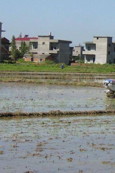 松湖镇