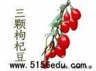 三颗枸杞豆
