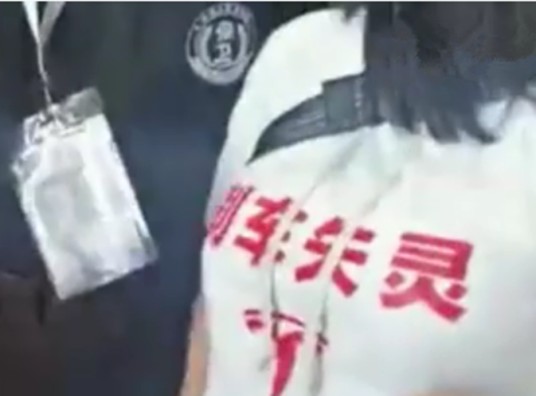特斯拉刹车门