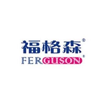 福格森（电影《尼罗河上的惨案》中的角色）