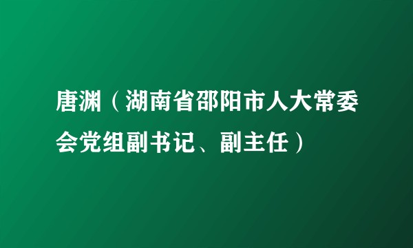 唐渊（湖南省邵阳市人大常委会党组副书记、副主任）