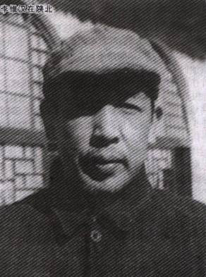 秦力生