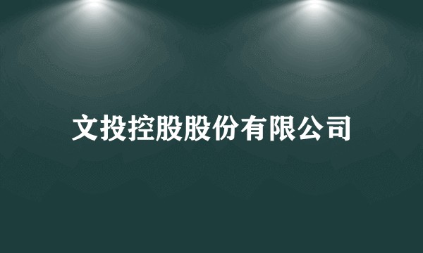 文投控股股份有限公司