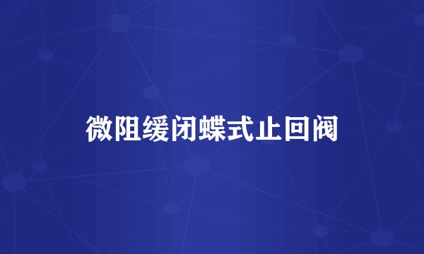 微阻缓闭蝶式止回阀