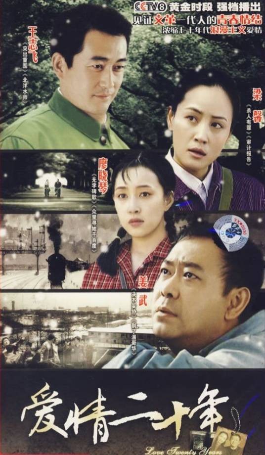 爱情二十年