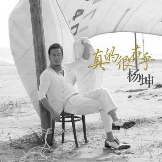 真的很在乎（2012年杨坤演唱的歌曲）