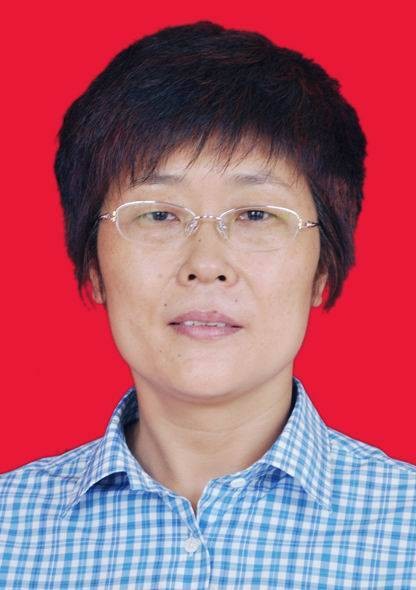 王红敏（河南省鲁山县委副书记）