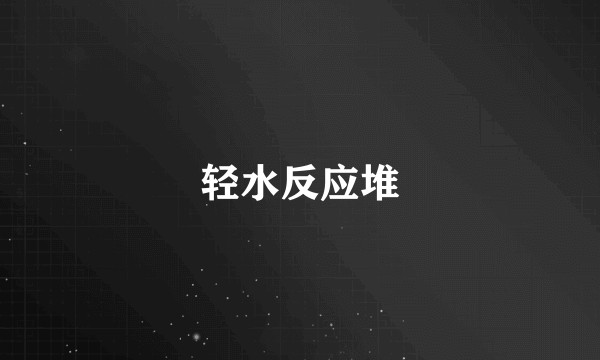 轻水反应堆
