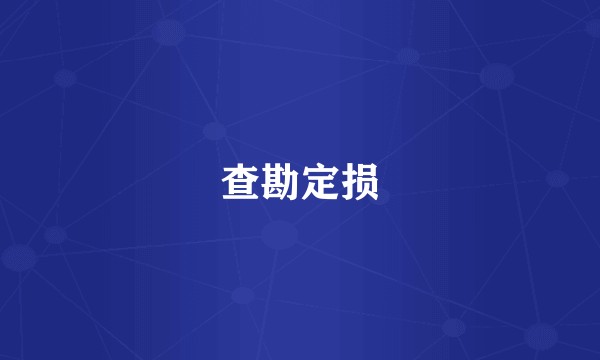 查勘定损