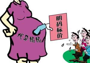 代孕妈妈（汉语词语）