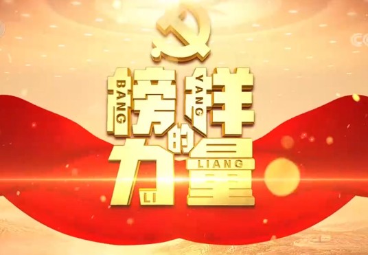 榜样的力量（第一季）