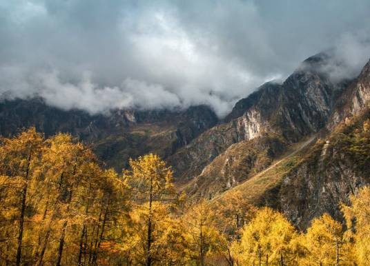 田湾河风景区