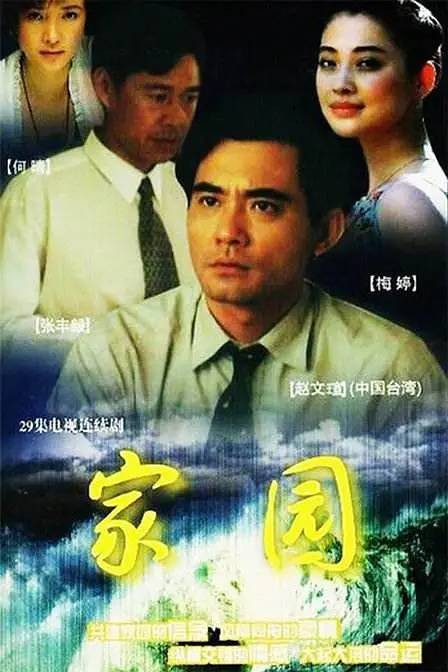 家园（1999年李耀光、郑华执导的电视剧）