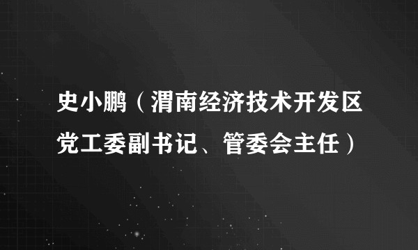 史小鹏（渭南经济技术开发区党工委副书记、管委会主任）