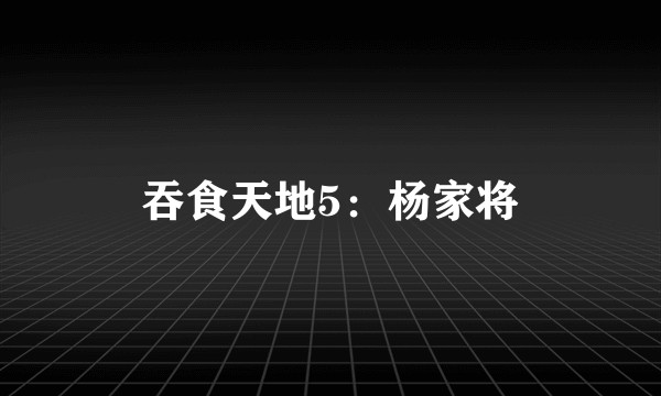 吞食天地5：杨家将